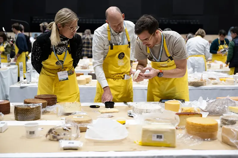 Members of the jury analyze and taste cheeses from different countries, during the 37th World Cheese Awards, at the Festhalle in Bern, Switzerland, Thursday, Nov. 13, 2025. (Anthony Anex/Keystone via AP)