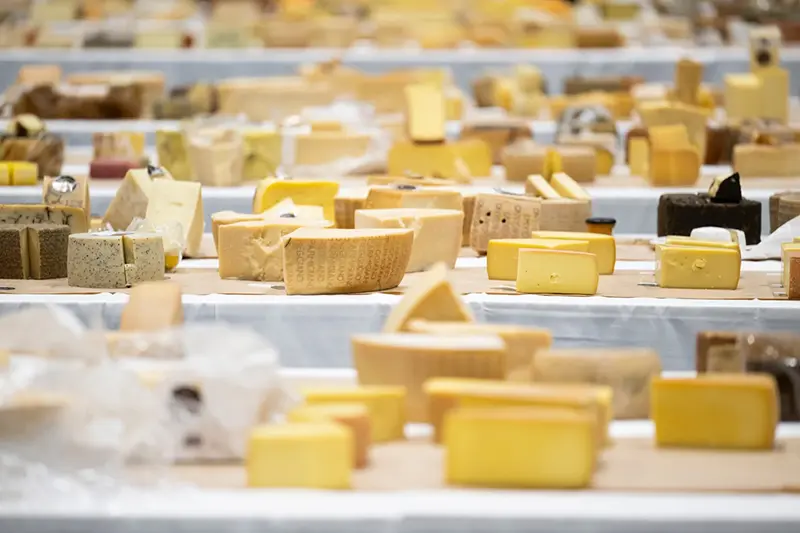 Cheeses from different countries pictured during the 37th World Cheese Awards, at the Festhalle in Bern, Switzerland, Thursday, Nov. 13, 2025. (Anthony Anex/Keystone via AP)