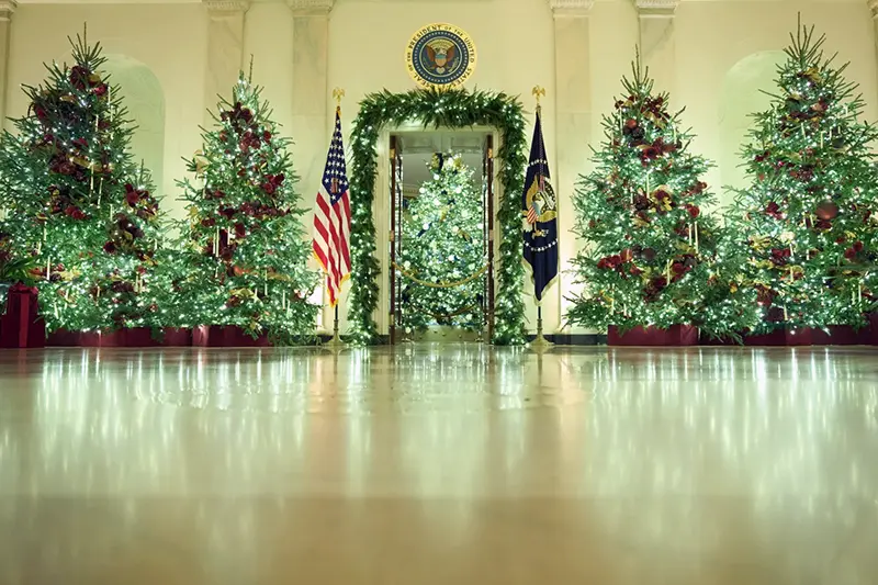 Christmas trees decorate the Cross Hall of the White House during a press preview of the Christmas decorations “Home is Where the Heart Is,” Monday, Dec. 1, 2025, in Washington. (AP Photo/Evan Vucci)