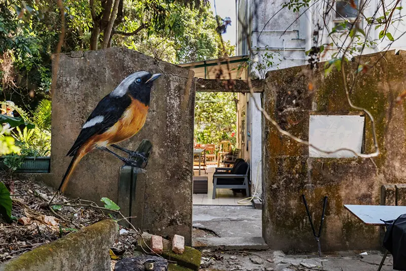 A daurian redstart is seen painted on the wall of an abandoned house in Wang Tong village, Lantau, Hong Kong on Jan 27, 2025. (AP Photo/May James)