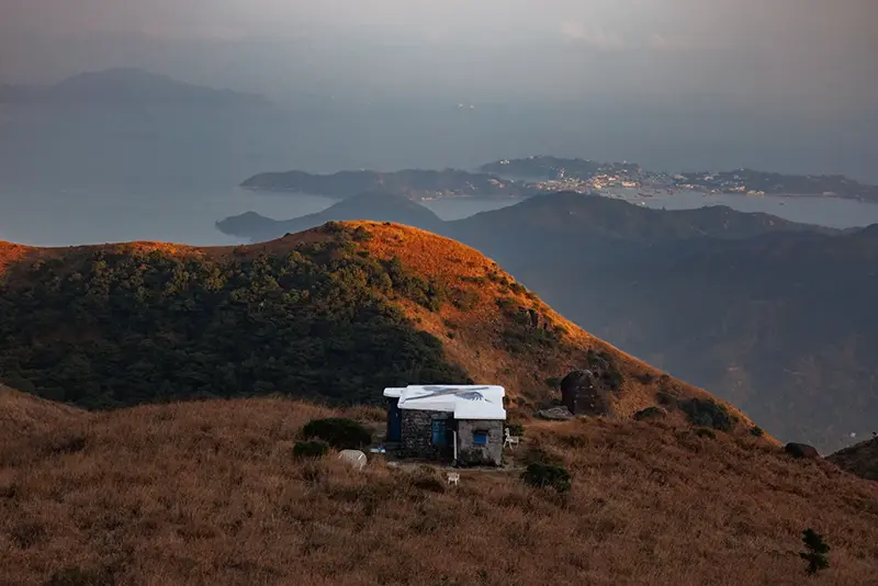 A long-tailed shrike mural is seen painted on the rooftop of a stone house on Sunset Peak, Lantau, Hong Kong, Jan. 25, 2025. (AP Photo/May James)