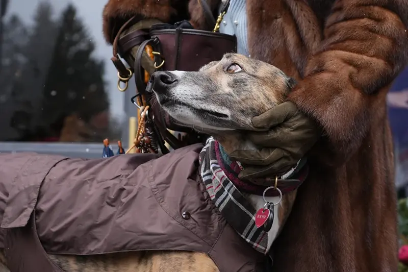 Cecilia Secondin poses with her dog Porter in Cortina d’Ampezzo, Italy, Saturday, Feb. 14, 2026. (AP Photo/Alessandra Tarantino)