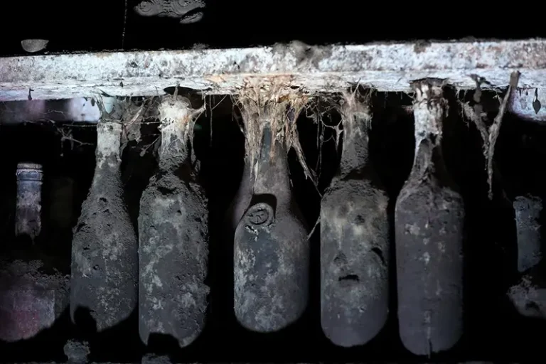 Bottles in a wine cellar housing a collection of rarities from the 19th and 20th centuries, once owned by Soviet leader Joseph Stalin, in Tbilisi, Georgia May 28, 2026. REUTERS/Irakli Gedenidze